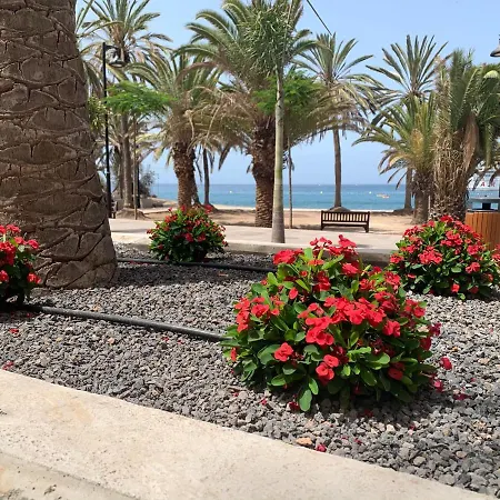 El Carmen - Lovely - Cristianos *